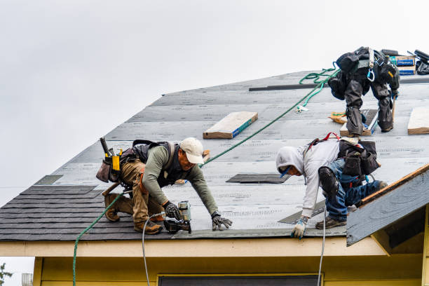 Professional Gutter Installation technician working in Lamont, IA